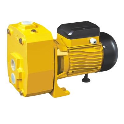 China Family Homes Large Capacity 1.5hp High Head Electric Self-priming Centrifugal Water Pump For Well for sale