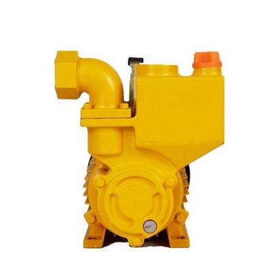 China China Single Stage Mini Home Use Electric Peripheral Water Pump Long Life for sale