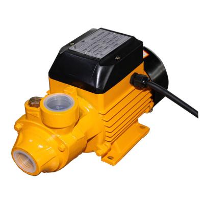 China QB60 Family Houses Home Use Peripheral Electric Outdoor Pump for sale