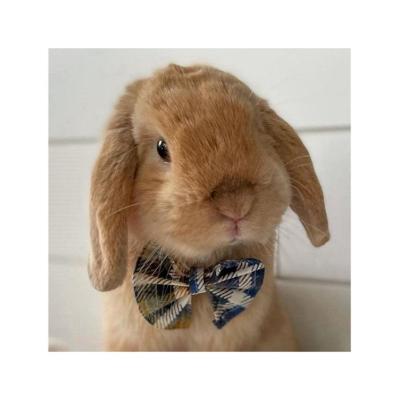 China New Design Small Sustainable Pet Nylon Cotton Cute Bowtie Pet Accessories Cat Rabbit Bow Tie for sale