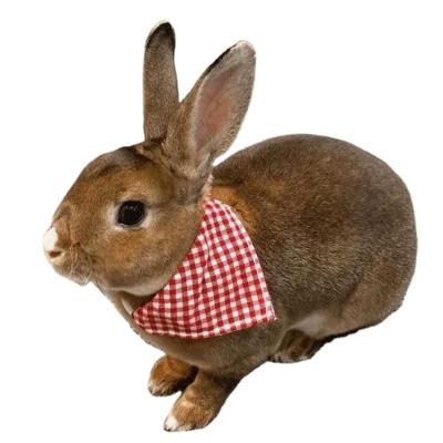 China Custom Viable Dog Pet Soft Triangular Bandana Printed Cute Pet Rabbit Bandanas for sale