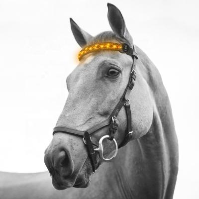 China Riding Head Band LED Clean Equestrian Head Band to Catch Attention for sale