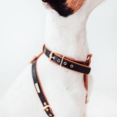 China Custom Leather Vegan 2022 Luxury Dog Harness Dog Harness Strap Designer Wholesale Custom Leather Adjustable Dog Harness for sale