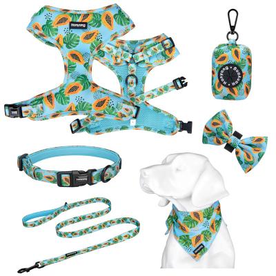 China 2022 Customized Printing Pet Harness Dog Collar Leash Set Sublimation Neoprene Custom Design Adjustable Dog Harness for sale