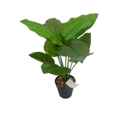 China Minimalist Indoor Potted Leaf Turtle Plant Green Plant Decoration Outlet Outlet Artificial Plant for sale