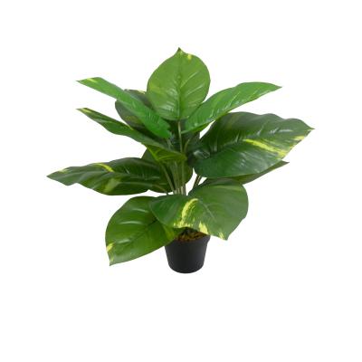 China Minimalist Factory Made Green Artificial Turtle Bonsai China Home Decoration Branch Tops for sale