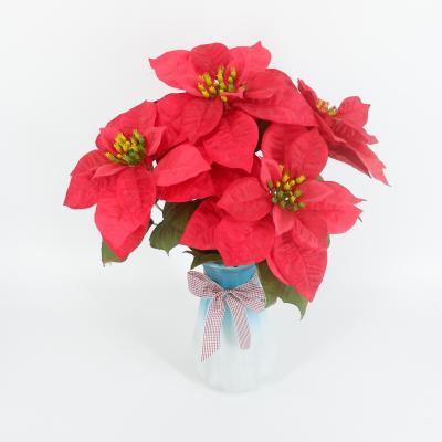 China Hot Home Decoration Design 5 Christmas Flower High Quality Christmas Flower Poinsettia for sale