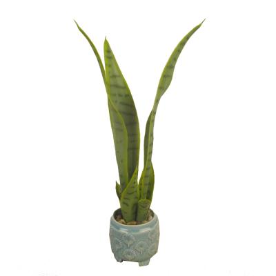 China Home Decoration Simulation of Yellow Tiger Potted Green Decorative Succulents Pilan for sale