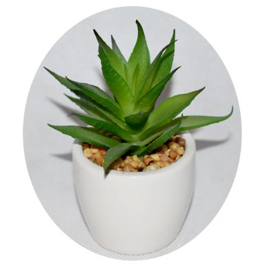 China Wholesale home decoration cement pots with artificial succulents for indoor and outdoor decoration for sale