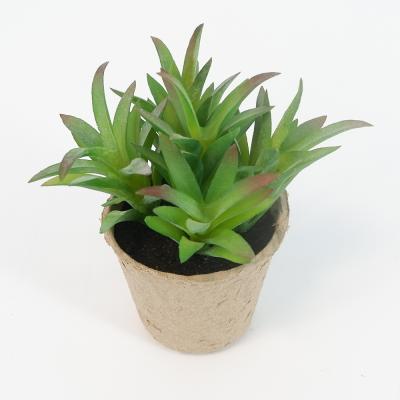 China Home Wholesale Plastic Artificial Succulent Pulp Leaf Plant Simulation Plant DIY China Decoration Potted Plant for sale