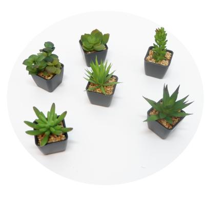 China Minimalist DIY Creative Micro Landscape Mini Succulents Black PP Artificial Potted Plant for sale