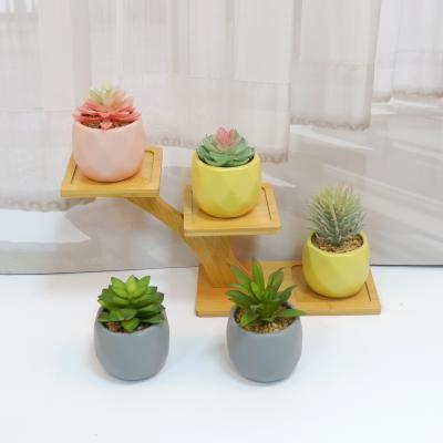 China Minimalist Wholesale Artificial Plants DIY Various Assorted Potted Plants for sale