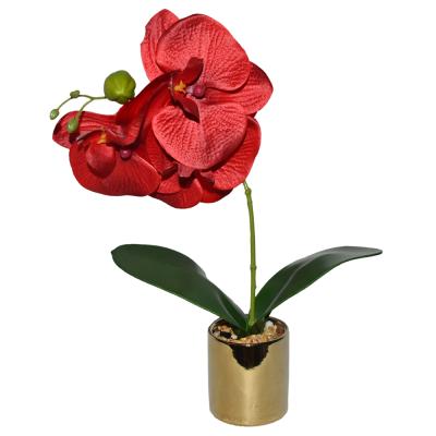 China Factory direct selling home silk bonsai orchid flower simulation decoration electroplating pot for sale