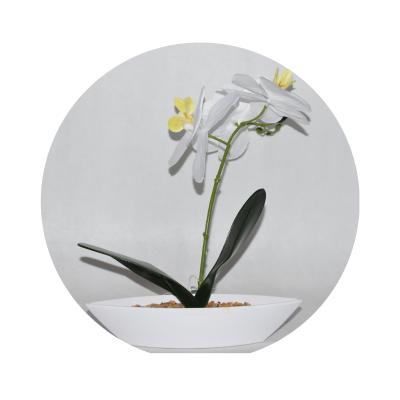 China Unique home decoration mini all white plastic silk orchid for wedding table decoration for sale