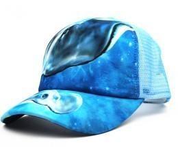 China Printed Net Cap for sale