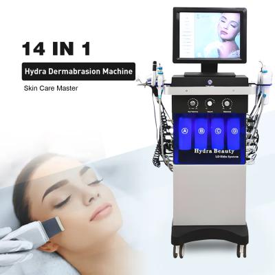 China 14 em 1 Hydro Hydra Microdermabrasion Facial Skin Care Machine com saída máxima de 250VA à venda