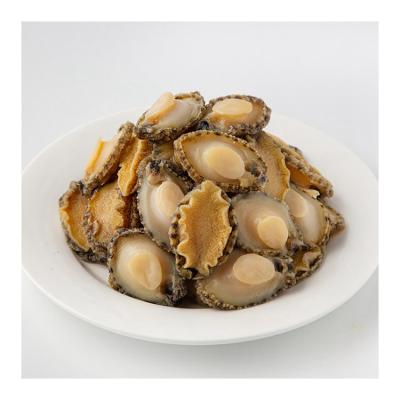 China Transport-fat export high quality nutrition abalone wholesale free natural healthy abalone new for sale