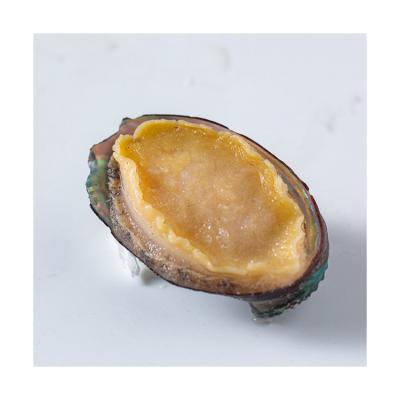 China Transport-Big Free Seafood Marine Snail Frozen Abalone In Shell Glazed Paua PowYu for sale