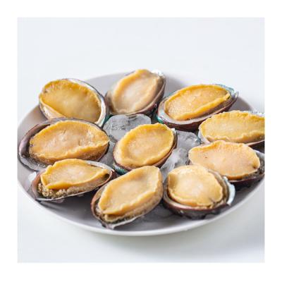 China Free Wholesale Trans-fat Customized Frozen Polished Abalone From New Abalone Cheap Prices To Shell for sale