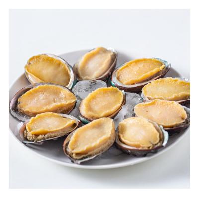 China China Wholesale Transport-Wholesale Frozen Polished Abalone New Shell Asian Food Free Healthy Abalone Meat for sale