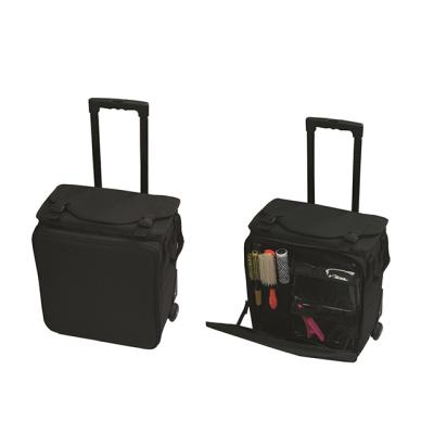 China Salon/Travel Logo Travel Case On Wheels Custom Professional, Trolley Cases Bags With Telescopic Handle for sale