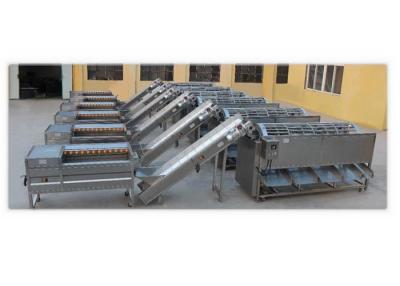 China Energy Saving Fruit And Vegetable Processing Line for sale