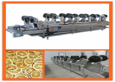 China Industrial Fruit Dehydrator Machine , Commercial Food Drying Equipment for sale