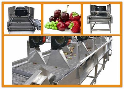 China PLC Controlled Fruit Dryer Machine / Commercial Dehydrator Machine 10.1kw for sale