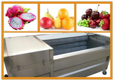 China Commercial Fruit And Vegetable Cleaning Machine OEM / ODM Available for sale