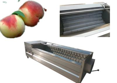 China Customized Size Fruit And Vegetable Processing Line For Restaurants for sale