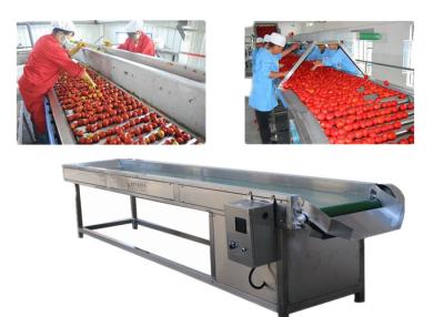 China Automatic Fruit And Vegetable Processing Line High Precise CE Approved for sale