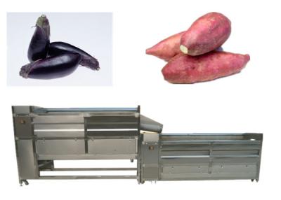 China Multi Function Potato Peeler And Cutter Machine High Capacity 450kg for sale