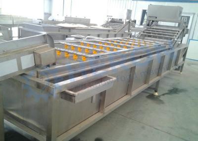 China Cleaning Streams / Fruit And Vegetable Processing Equipment 100-500 Kg/h Output for sale