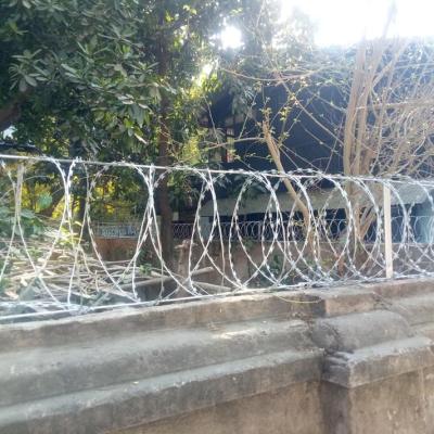 China Security Fence 600mm Coil Dia Concertina Razor Barbed Wire for sale