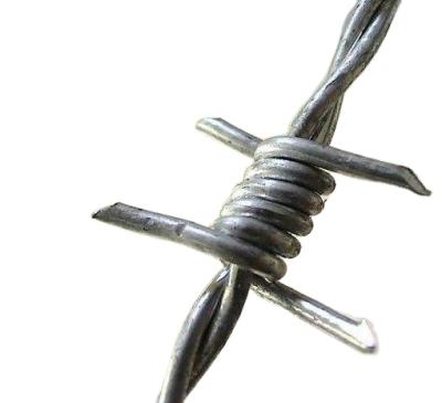 China 2021 Hot Sale Barbed Wire Price Galvanized Meter Barbed Wire Fence 2.5*2.5mm Egypt South Africa Asia for sale