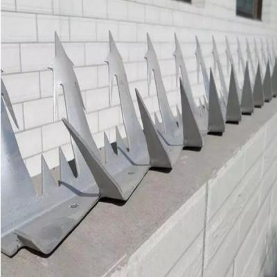 China Hot Dipped Wall Sheet Anti Climb Sharp Spike On Wall And Fence for sale