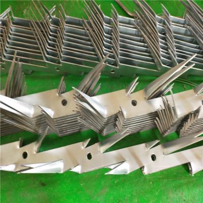 China Hot Dipped Galvanized Iron Wire Rise Wall Anti Spike Wall Spike Middle Wall Razor Nails for sale