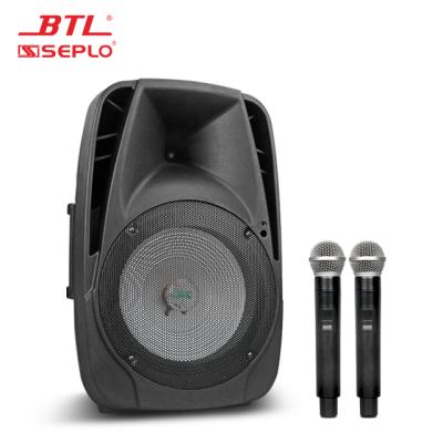 China BTL PORTABLE Professional Rechargeable Portable Blue Tooth Trolley Wireless Speaker PA-8012 for sale