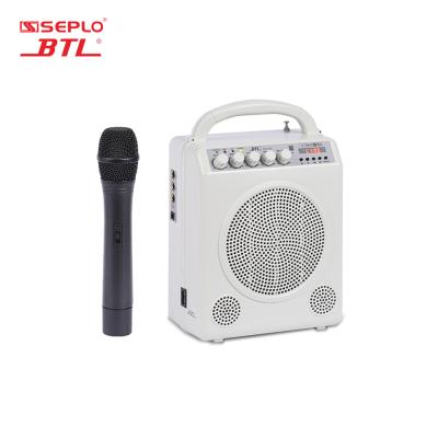 China 2018 Portable High Quality Plastic Wireless Microphone Voice Amplifier For Teacher for sale