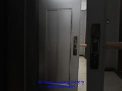 Door in door