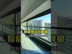 Electric Windows 