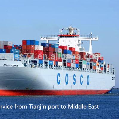 China Professional Ocean Freight FCL LCL Sea Freight Logistics From Tianjin To USA for sale