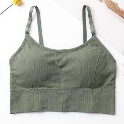 China Beauty Viable Tube Top One Piece Strap Gathered With Chest Protection Sports Bra Women Bra Tube Top for sale