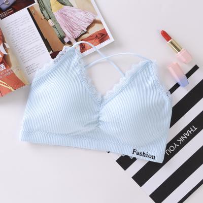 China Factory Wholesale Lady Underwear Soft Breathable Cotton Seamless High Quality Mature Bra QUICK DRY for sale