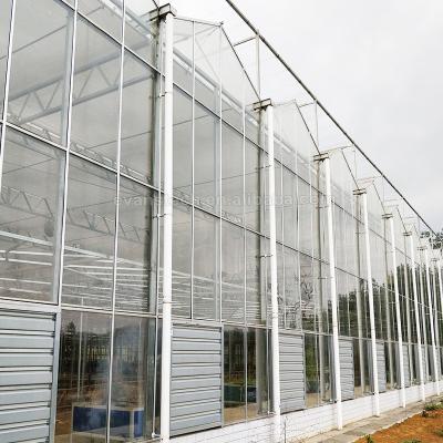 China Strong Structure Multi-Span Glass Greenhouse With Protection Cooling Fan System for sale