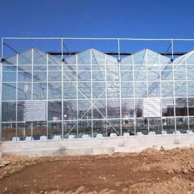 China Stable And Strong Structure Long Life Span Galvanized Steel Structure Tomato Agricultural Greenhouse Glass Panels Covering for sale