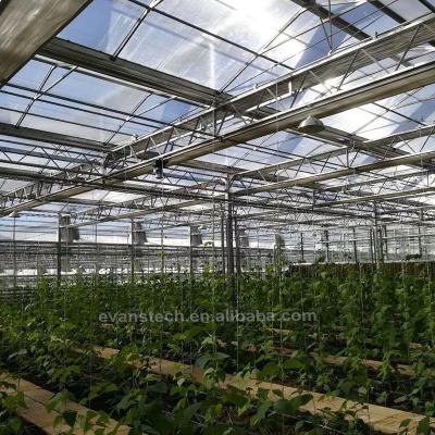 China Strong Structure The Cheapest Serra Agricola Agricultural Multi-span Glass Garden Greenhouse For Sale for sale