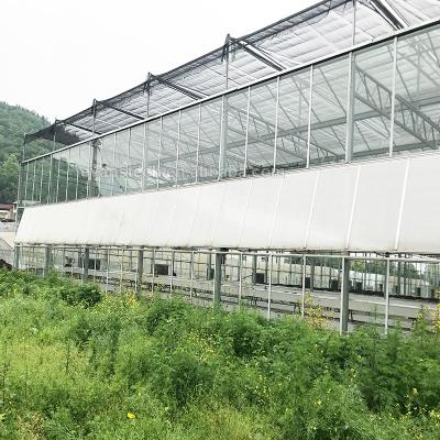 China Strong Modern Agricultural Structure Hydroponics System Greenhouse Multi-span Green House Glass Greenhouses for sale