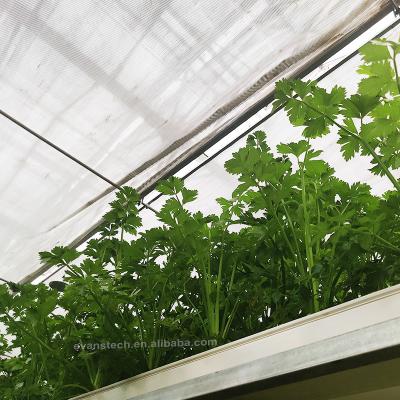 China Easily Assembled Plastic Agricultural Hydroponics Farm Greenhouse For Growing Vegetables for sale