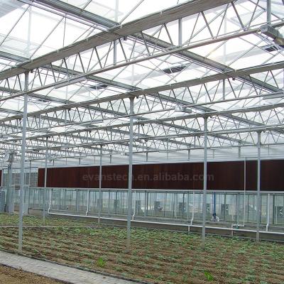 China Stable And Strong Structure Glass Covered Greenhouse For Agricultural Production for sale